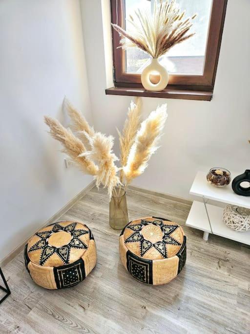 Cozy Sorada 1 Apartment Bragadiru Bagian luar foto